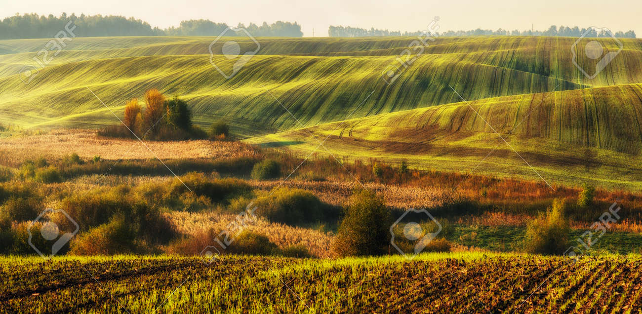 192 7.2 COLTIVAZIONI AGRICOLE